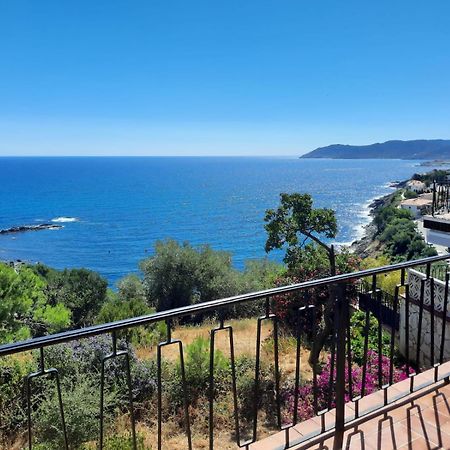 Apartamento Deluxe Cau Del Llop Llança Kültér fotó